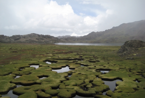 laguna-pultoc-huancavelica