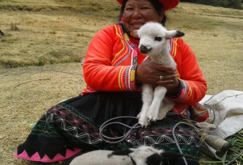 Cholita de Cuzco Pérou