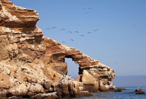 Peru_Islas_Ballestas