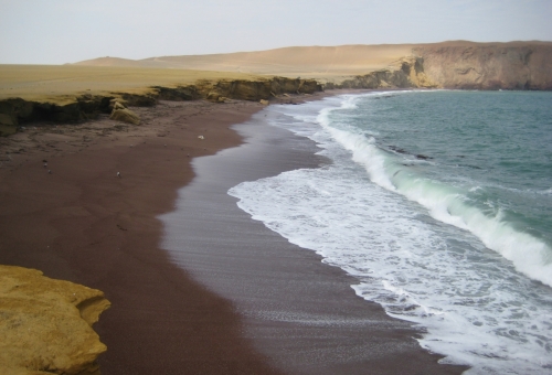 Reserve Paracas Pérou