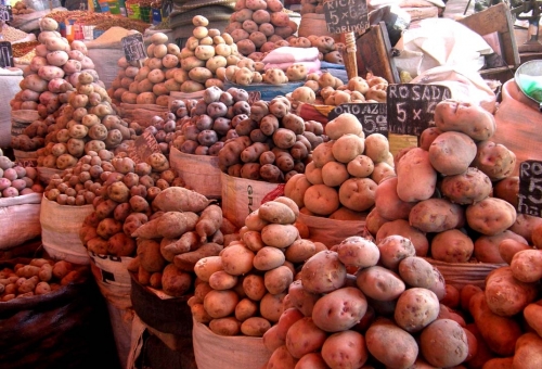 Patates du Pérou